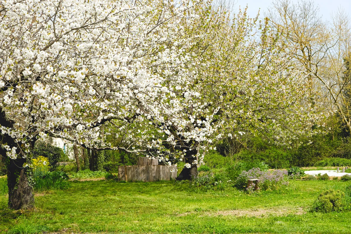 Sensibilidades primaverales: soluciones naturales apícolas